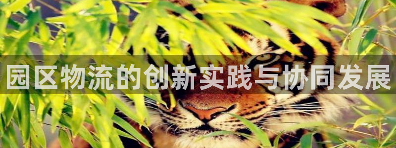 超凡国际模拟器下载：园区物流的创新实