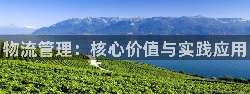 超凡国际加拿大2.8预测在线预测：物