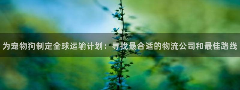 超凡国际加拿大模拟器：为宠物狗制定全