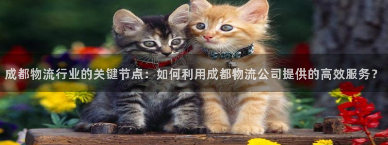 超凡国际官网下载多少