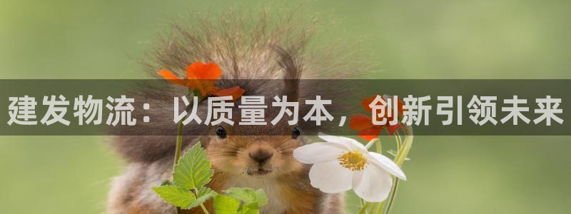 超凡国际口内径是多大：建发物流：以质
