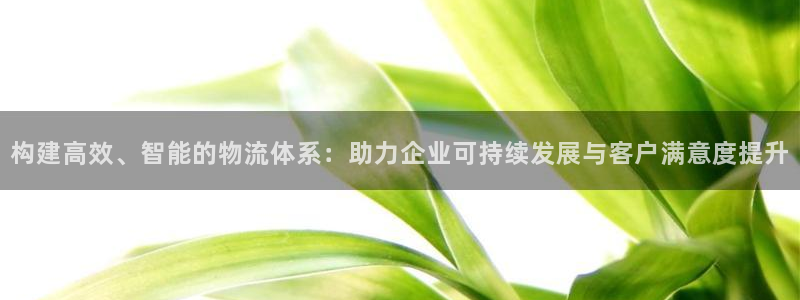 超凡国际加拿大模拟器：构建高效、智能