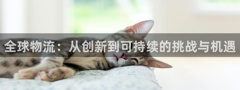 超凡国际大神预测：全球物流：从创新到可持续的挑战与机遇