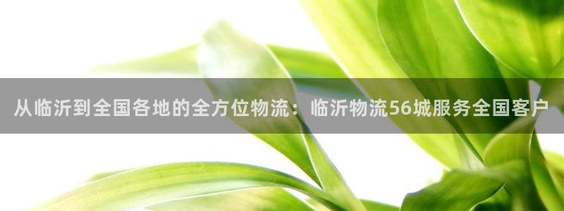 超凡国际官网入口pc是诈骗吗?：从临沂到全国各地的全方位物流