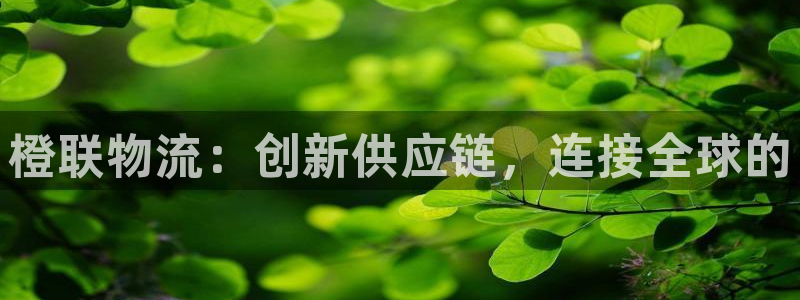 超凡国际图片：橙联物流：创新供应链，