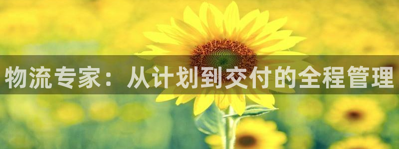 超凡国际充值不到账