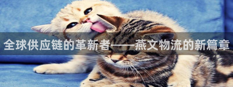 超凡国际注册平台：全球供应链的革新者