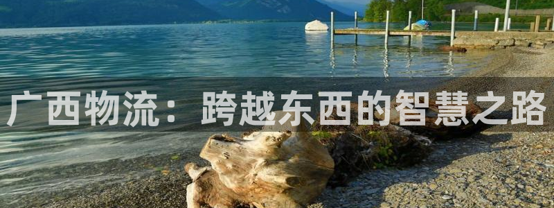 超凡国际推广链接是多少钱一个：广西物