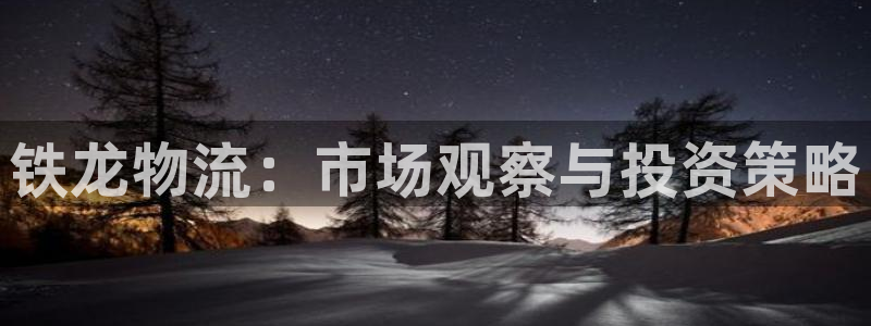 超凡国际加拿大怎么玩：铁龙物流：市场