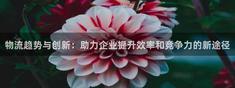 超凡国际注册账号:物流趋势与创新:助