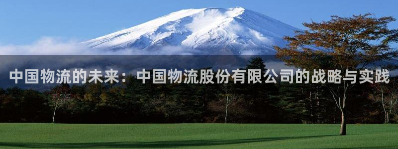 超凡国际平台注册:中国物流的未来:中