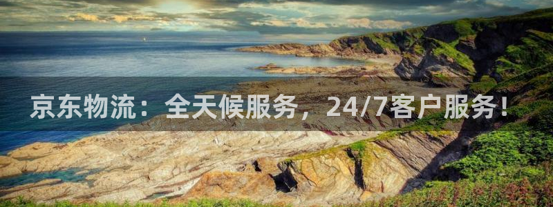 超凡国际官网入口2024:京东物流: