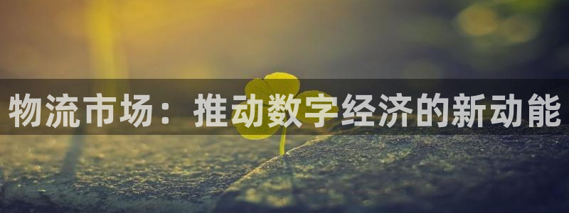 超凡国际官网入口正版:物流市场:推动