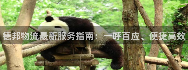 超凡国际APP是干什么的：德邦物流最新服务指南：一呼百应、便