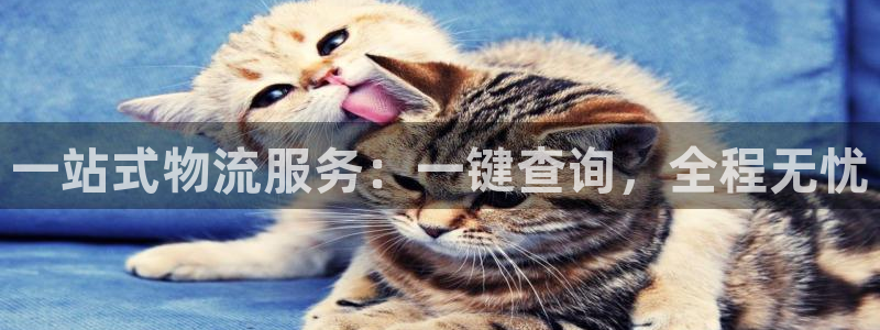 超凡国际加拿大模拟器