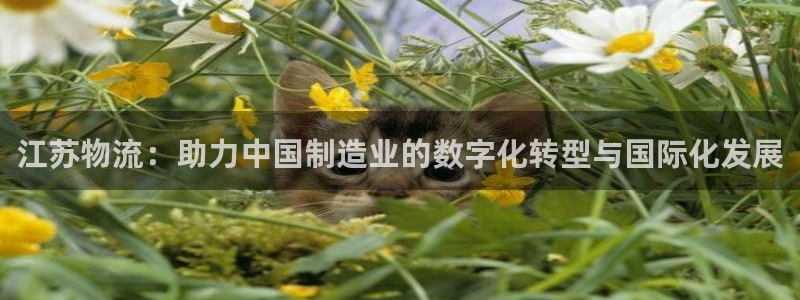 超凡国际加拿大是什么意思：江苏物流：