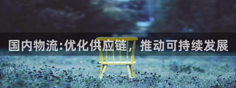 超凡国际注册入口与教程：国内物流:优