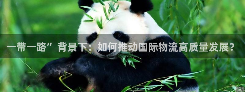 超凡国际初始密码在哪里修改：一带一路